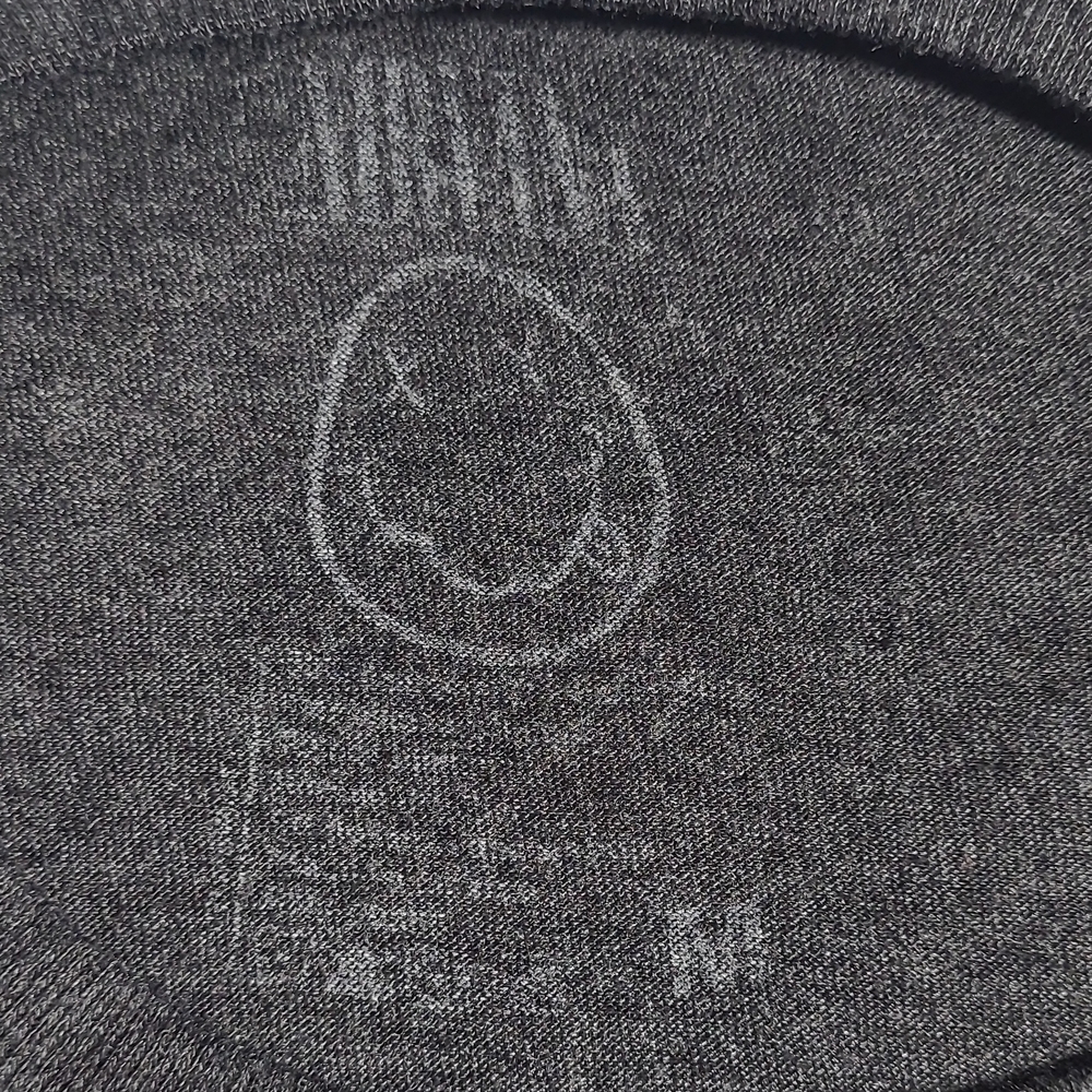 Nirvana Gray Tee With Multicolor Logo - image 4